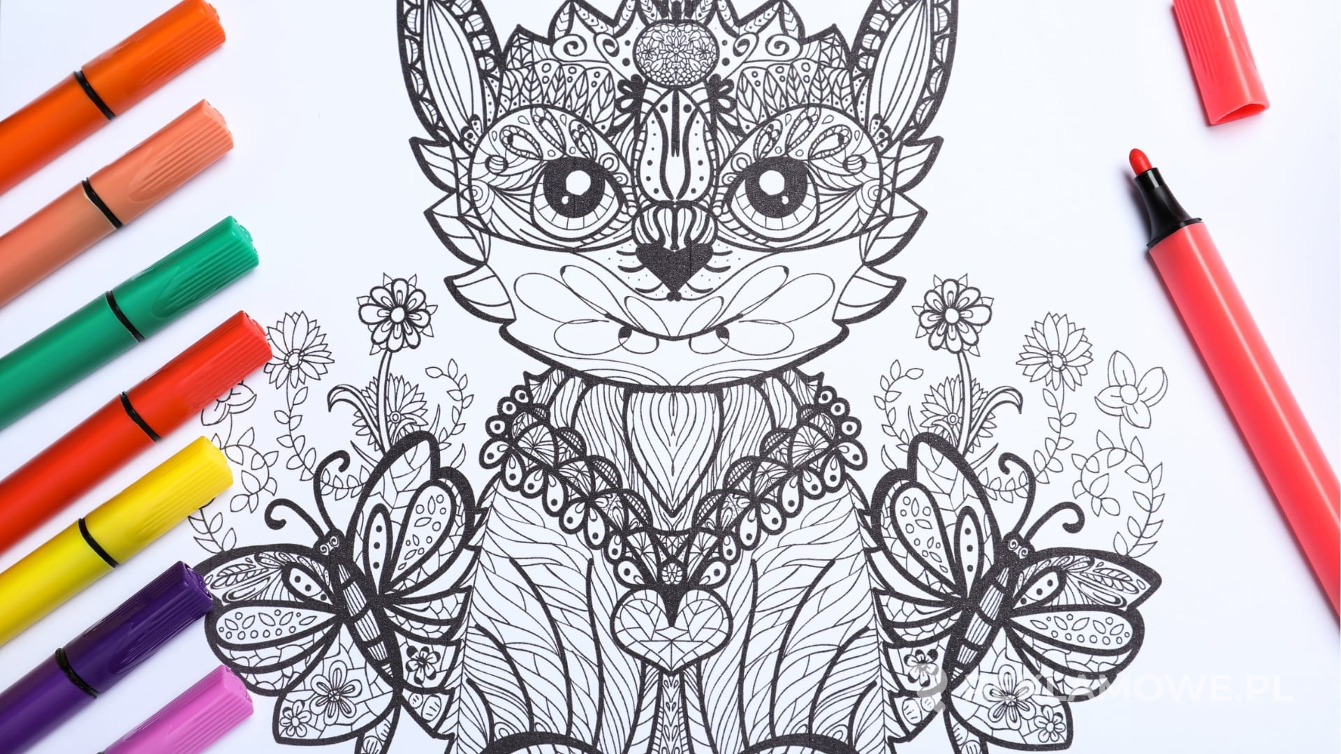 Kolorowanki dla dorosłych z unikatowymi wzorami