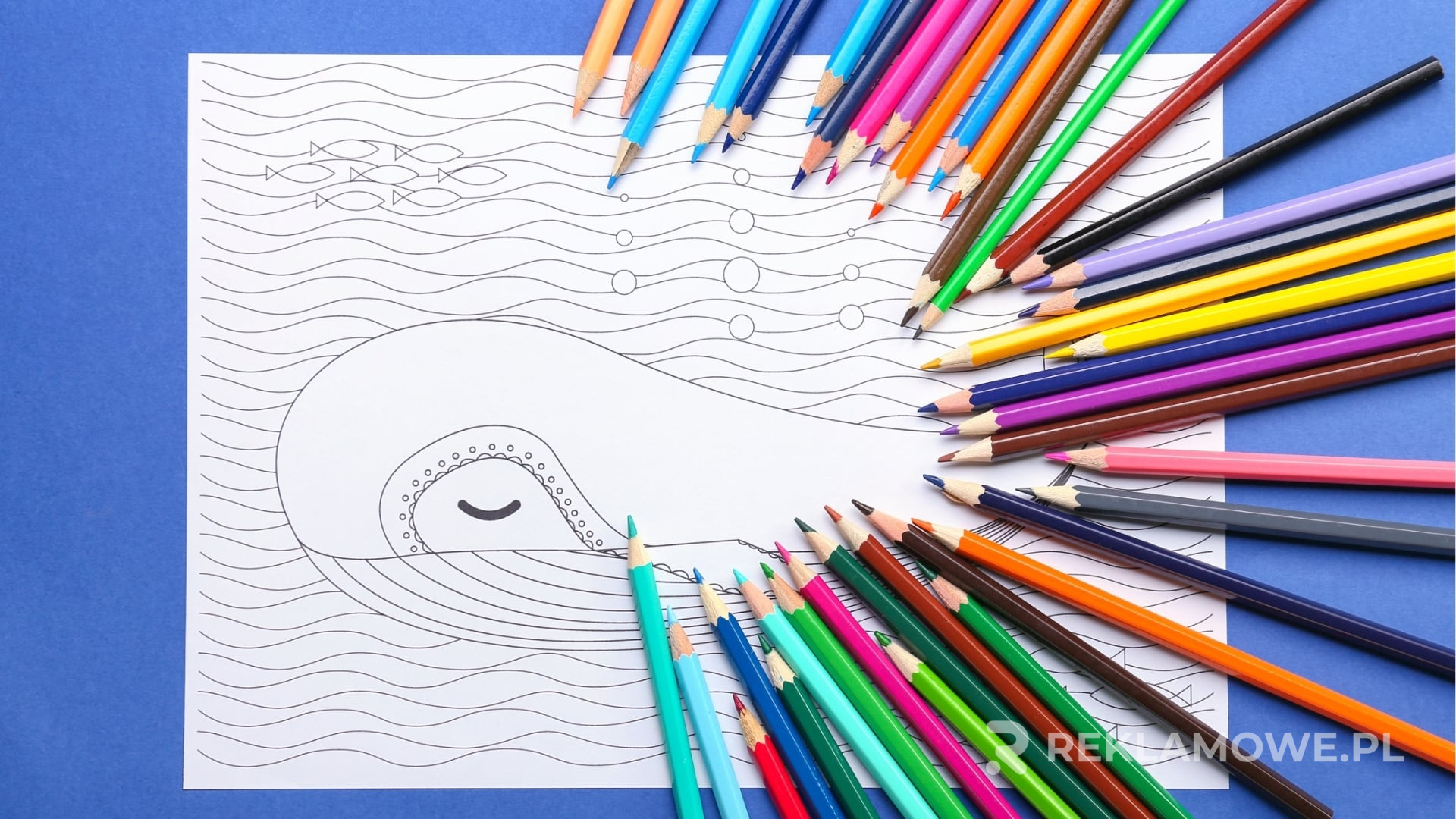 Kolorowanka jako element reklamy lokalnej